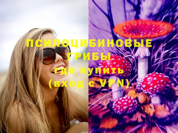 крисы Алзамай