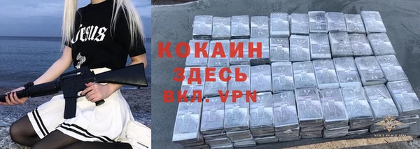 крисы Алзамай