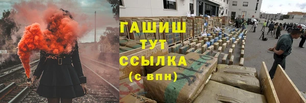 крисы Алзамай