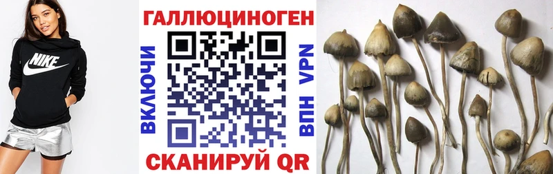 Псилоцибиновые грибы мухоморы  Дудинка 